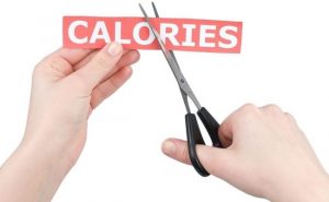Besoins caloriques chez l'homme et la femme
